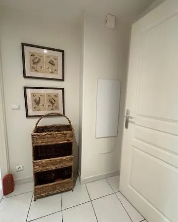 Congress Et Comfort *